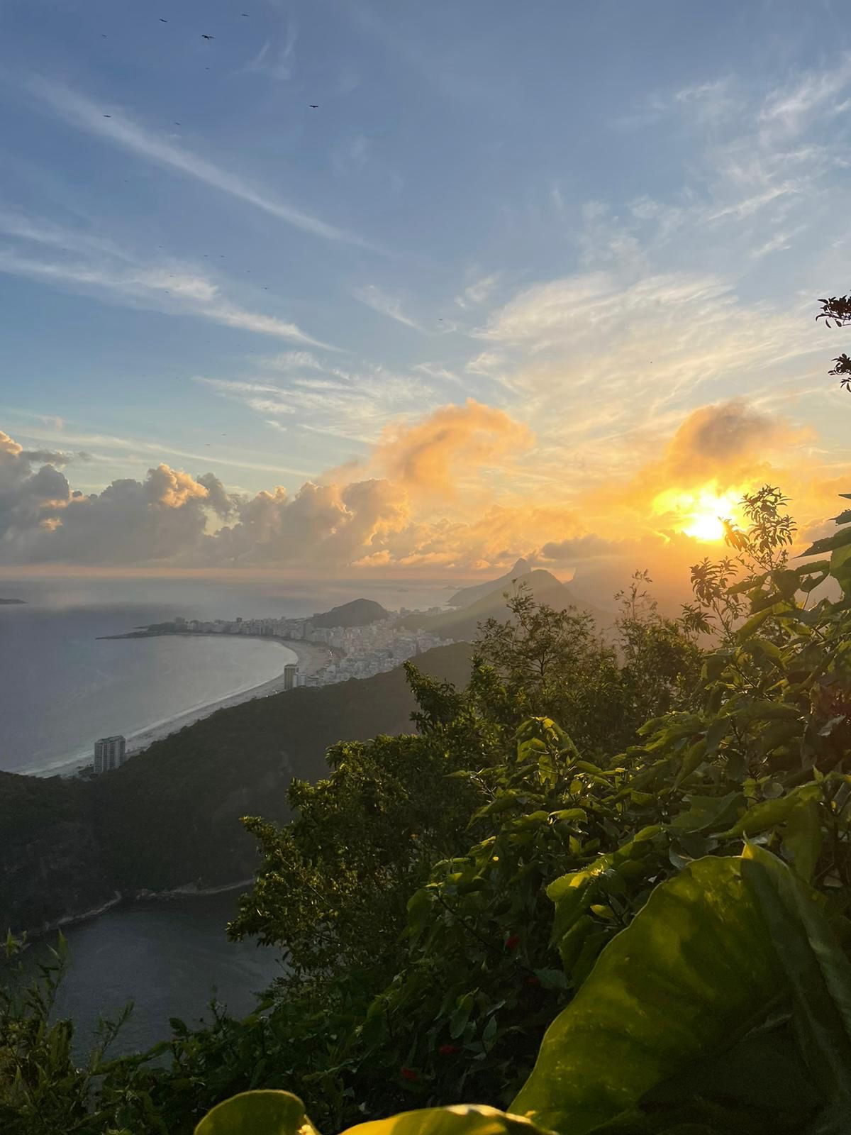 Sunset with clouds and foliage